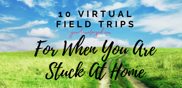 10 Virtual Field Trips For When You Are Stuck At Home